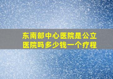 东南部中心医院是公立医院吗多少钱一个疗程