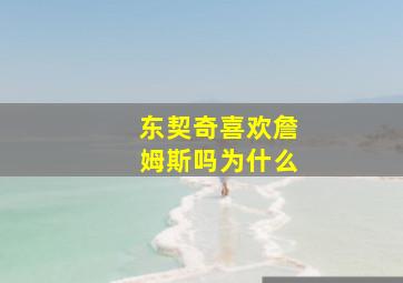 东契奇喜欢詹姆斯吗为什么