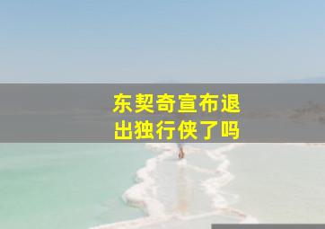 东契奇宣布退出独行侠了吗