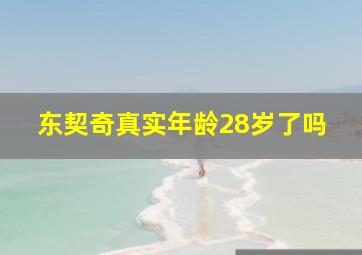 东契奇真实年龄28岁了吗