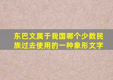 东巴文属于我国哪个少数民族过去使用的一种象形文字