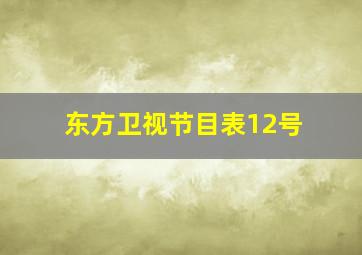 东方卫视节目表12号