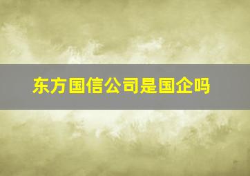 东方国信公司是国企吗