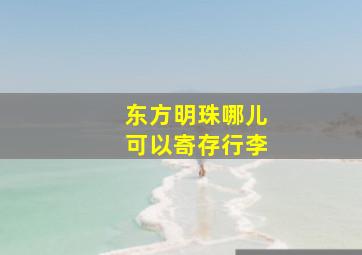 东方明珠哪儿可以寄存行李