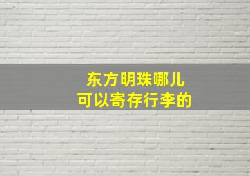 东方明珠哪儿可以寄存行李的