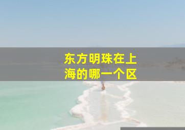 东方明珠在上海的哪一个区