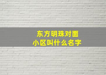 东方明珠对面小区叫什么名字