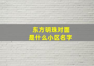 东方明珠对面是什么小区名字