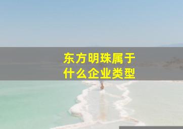 东方明珠属于什么企业类型