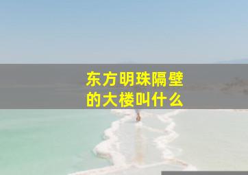 东方明珠隔壁的大楼叫什么