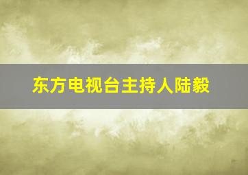 东方电视台主持人陆毅