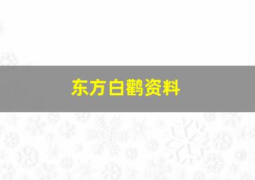 东方白鹳资料