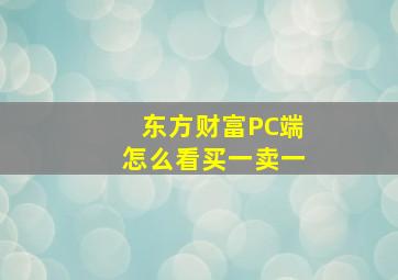 东方财富PC端怎么看买一卖一