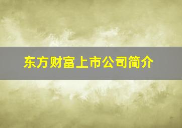 东方财富上市公司简介