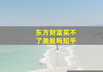 东方财富买不了美股吗知乎