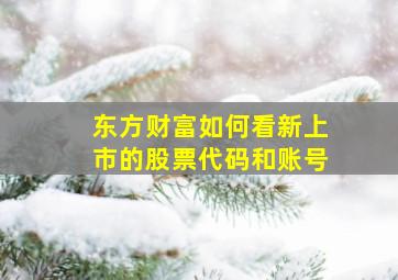 东方财富如何看新上市的股票代码和账号