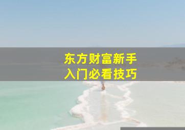 东方财富新手入门必看技巧