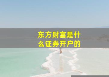 东方财富是什么证券开户的