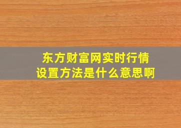 东方财富网实时行情设置方法是什么意思啊