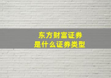 东方财富证券是什么证券类型