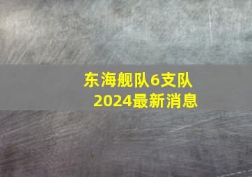 东海舰队6支队2024最新消息