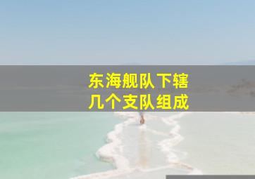 东海舰队下辖几个支队组成