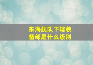 东海舰队下辖装备部是什么级别