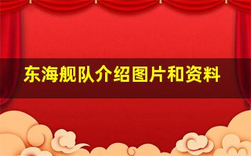 东海舰队介绍图片和资料