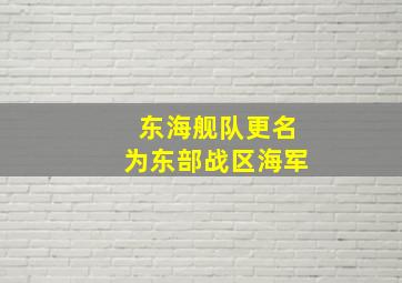 东海舰队更名为东部战区海军