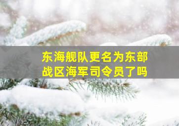 东海舰队更名为东部战区海军司令员了吗