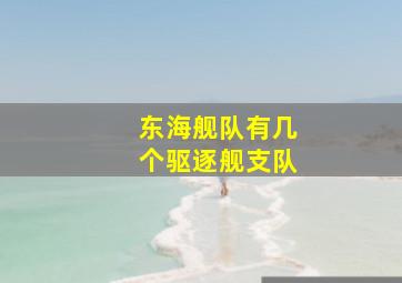 东海舰队有几个驱逐舰支队