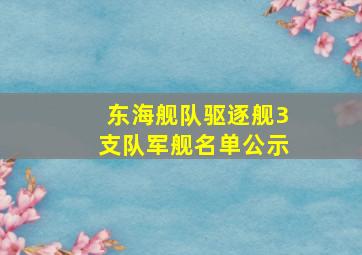 东海舰队驱逐舰3支队军舰名单公示