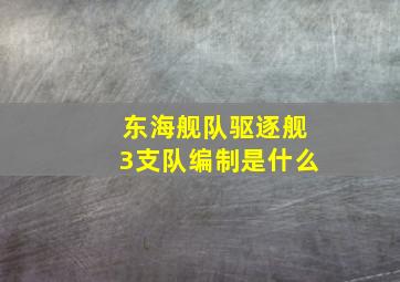 东海舰队驱逐舰3支队编制是什么