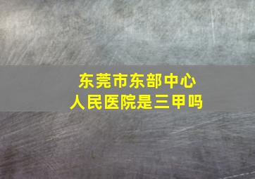 东莞市东部中心人民医院是三甲吗