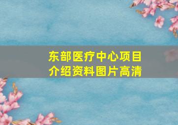 东部医疗中心项目介绍资料图片高清