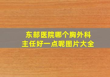 东部医院哪个胸外科主任好一点呢图片大全