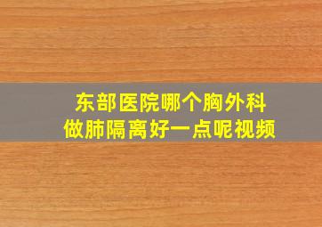 东部医院哪个胸外科做肺隔离好一点呢视频