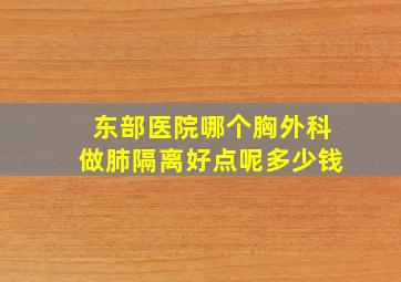 东部医院哪个胸外科做肺隔离好点呢多少钱