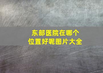 东部医院在哪个位置好呢图片大全