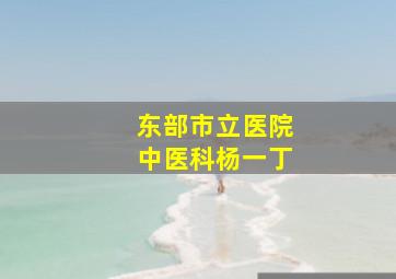 东部市立医院中医科杨一丁