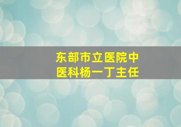 东部市立医院中医科杨一丁主任