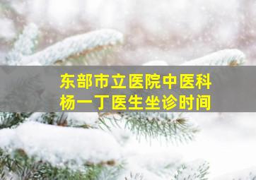 东部市立医院中医科杨一丁医生坐诊时间