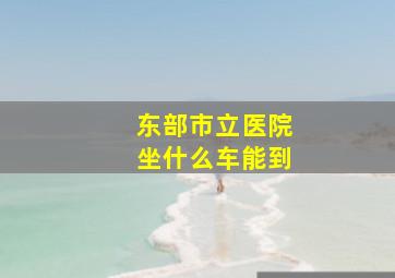 东部市立医院坐什么车能到