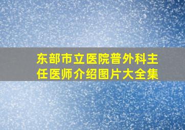 东部市立医院普外科主任医师介绍图片大全集