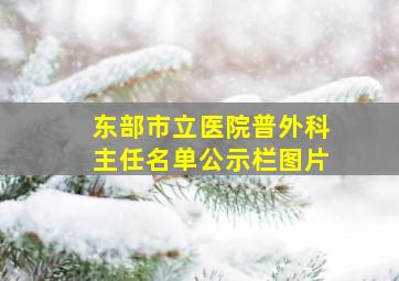 东部市立医院普外科主任名单公示栏图片