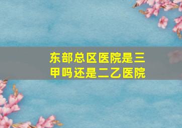 东部总区医院是三甲吗还是二乙医院