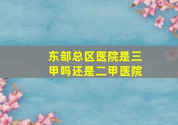 东部总区医院是三甲吗还是二甲医院