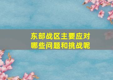 东部战区主要应对哪些问题和挑战呢