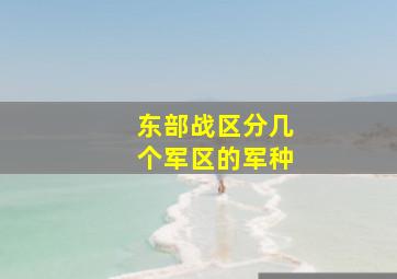 东部战区分几个军区的军种