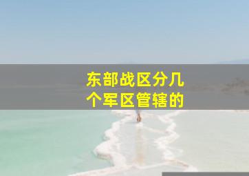 东部战区分几个军区管辖的